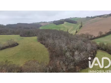 vente terrain 99131 m² montastruc-savès (31370)