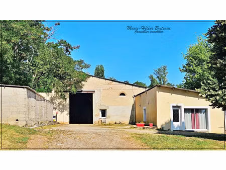 local professionnel à vendre layrac 2 pièce(s) 257m2 179 200€