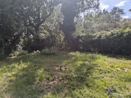 vente terrain 643 m² à saint-vincent-de-barbeyrargues (34730)  283 000 €