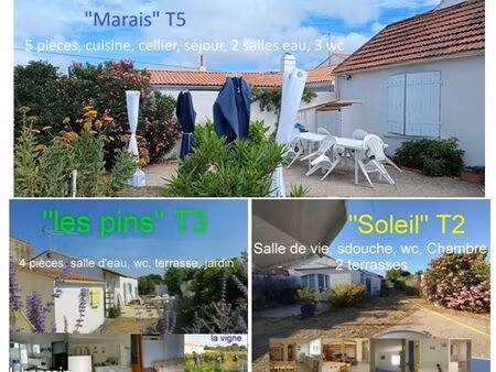 projet immobilier en bord de mer ; 3 gîtes meublés à utiliser de suite