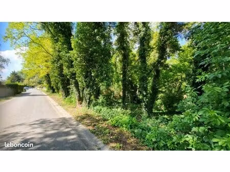terrain 613 m² auvers saint georges