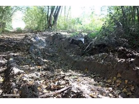 recherche terrain friche