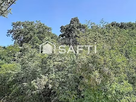 vente terrain à batir 3989 m² à arles-sur-tech (66150)  45 000 €