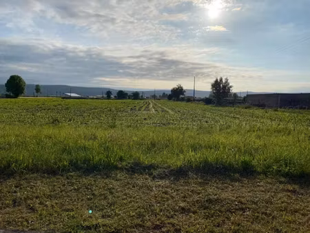 vente terrain 500 m² à boeil-bezing (64510)  58 000 €