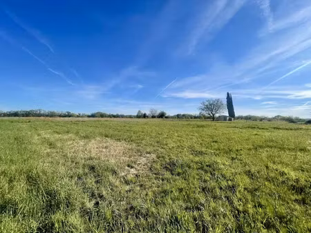 vente terrain 2038 m² à graulhet (81300)  55 000 €