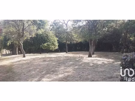 vente terrain 979 m² à tenteling (57980)  66 000 €