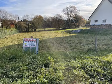 vente terrain 1368 m² à plaine-de-walsch (57870)  63 000 €