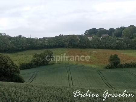 terrain à vendre brunelles (28)