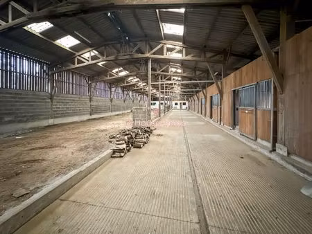 mamers (72) structure loft de 1 100 m² sur 1 3 hectare potentiel xxl