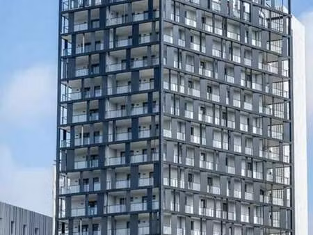location commerce 298 m²