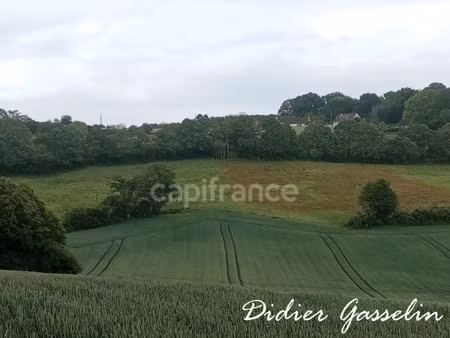terrain à vendre brunelles 249400m2 268 500€