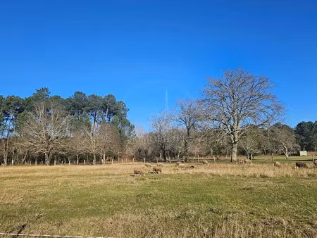 vente terrain 1280 m² à mios (33380)  155 000 €
