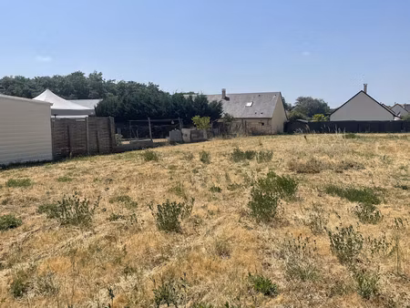 vente terrain 493 m² à saint-martin-le-beau (37270)  86 500 €