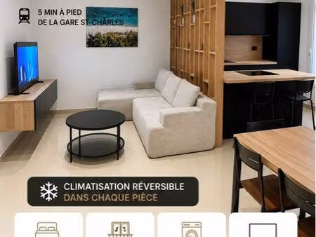 t3 80m2 meublé - rénové - hyper centre