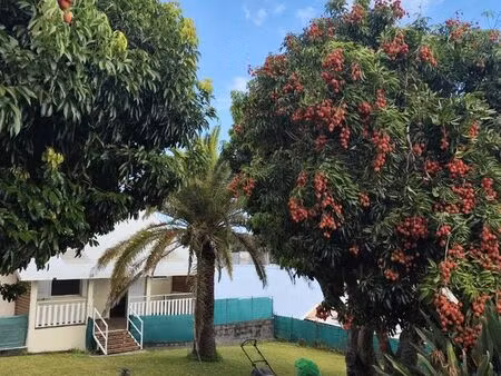 villa+ jardin petite île ville