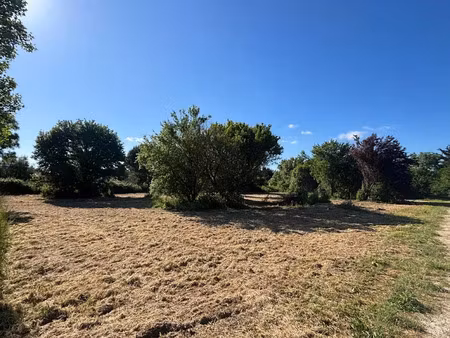 vente terrain à batir 3649 m² à saint-georges-d'oléron (17190)  299 600 €