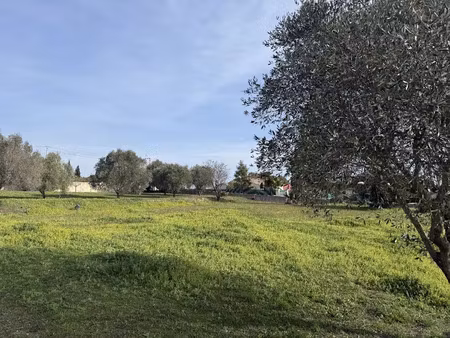 vente terrain 692 m² à roquebrune-sur-argens (83520)  259 000 €