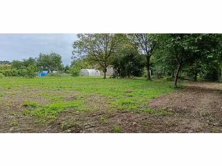 vente terrain au bignon (44140) : à vendre / 1007m² le bignon