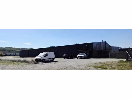 vente locaux professionnels 0 pièces 1143 m² à wasselonne (67310)  1 150 000 €
