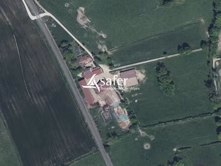 ferme d'élevage - plaine du forez