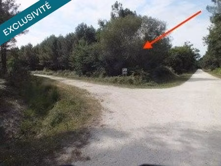 vendays-montalivet: votre havre de paix arboré - 800m2 près de l'océan