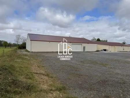 location local d’activités divatte sur loire 44450 595m²