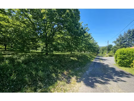 terrain saint-yrieix-la-perche m² t- à vendre  42 000 €