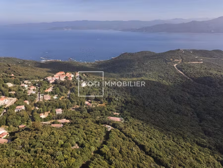 belvedere campomoro - terrain a batir - 2000m2