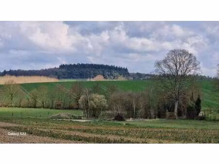vente terrain à moulins (35680) : à vendre / moulins