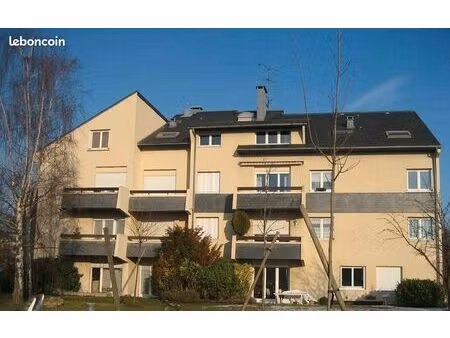 studio 1 pièce 31 m²
