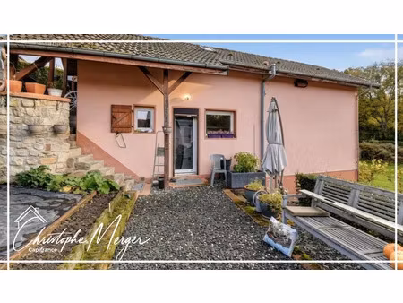 vente viager 2 pièces 62 m² à fremifontaine (88600)  46 924 €