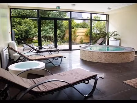 local professionnel - 490m ²