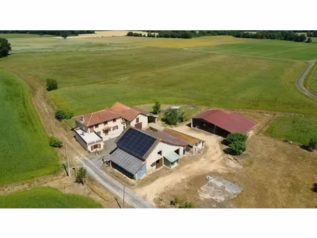 maison hagetmau 8 pièce(s) 199 m2