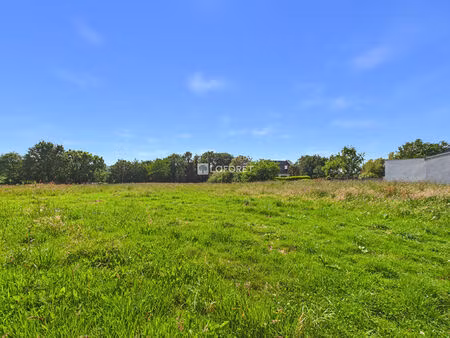 terrain dineault 2381 m2