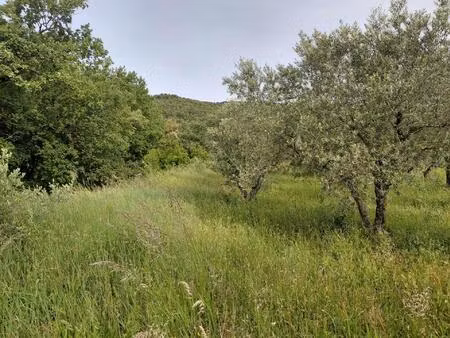 vente terrain 2038 m² peyruis (04310)