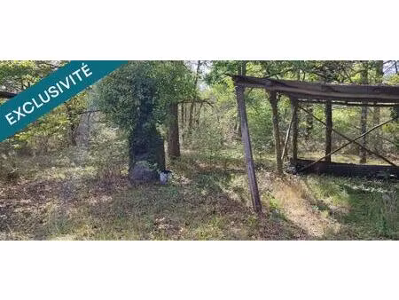 vente terrain 4985 m² continvoir (37340)