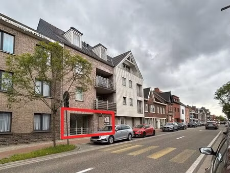 appartement à louer à mol € 800 (lohel) - hillewaere mol | zimmo