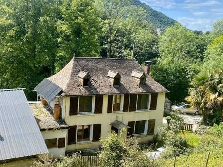 maison proche nay - calme - charme - terrain - verger