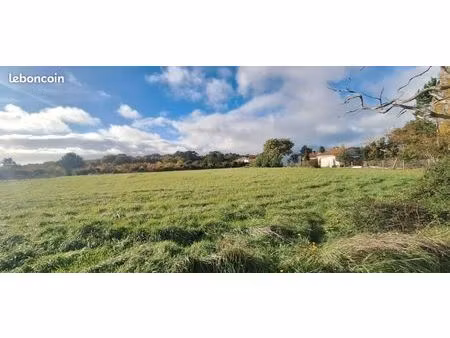 terrain 590 m² saint palais sur mer