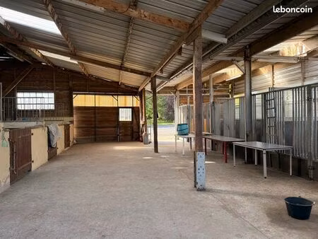location écuries pour chevaux