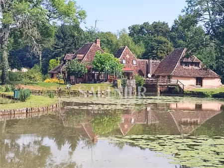 entre auxerre et gien  moulin du xiv  gîte et chambres d'hôt