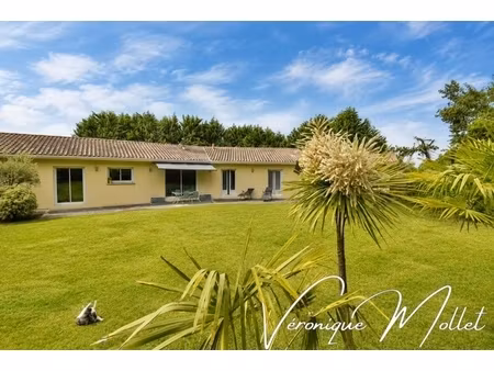 elegante contemporaine de plain-pied baignée de lumiere