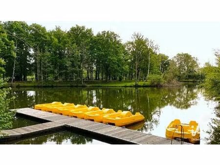 vente terrain 9 000 m²