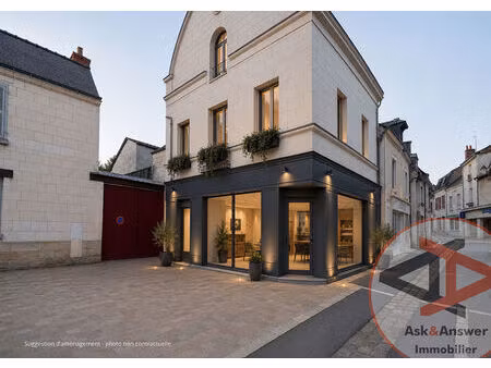 local commercial sainte maure de touraine 6 pièce(s) 300 m2