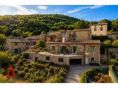 achat maison 18 pièces 400m² avene 34260