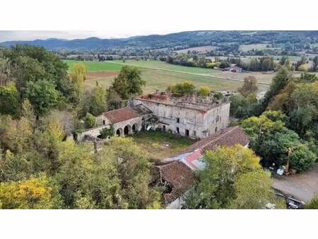 vente maison 50 pièces 3000 m² les bordes-sur-arize (09350)