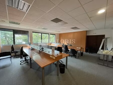 achat local professionnel 483m² limonest 69760
