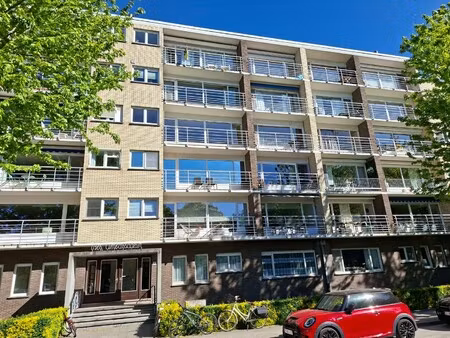 instapklaar gelijkvloersappartement
