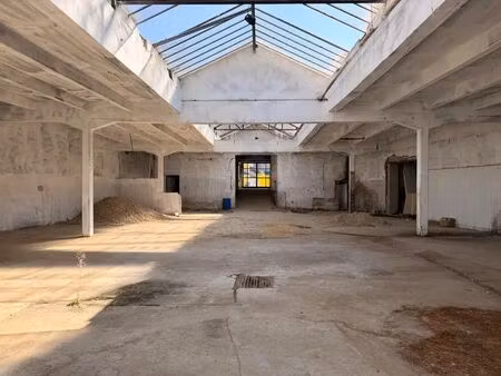 vente commerce tassin la demi lune 69160 800m²