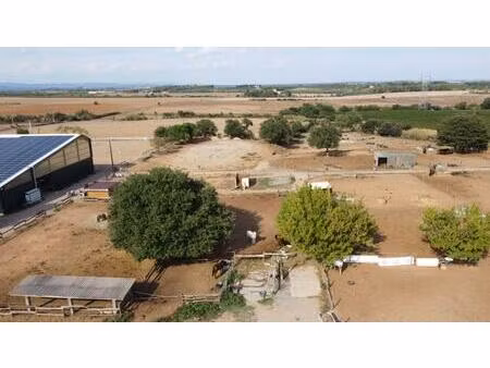 propriété équestre avec gites et habitations - servian - 815 000 euros